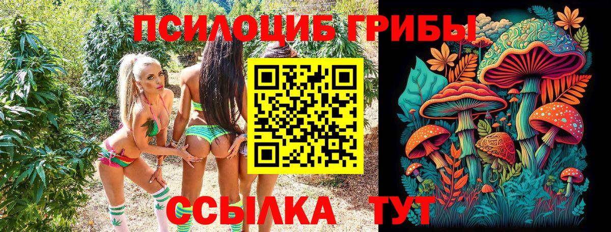 Псилоцибиновые грибы ЛСД Волгоград