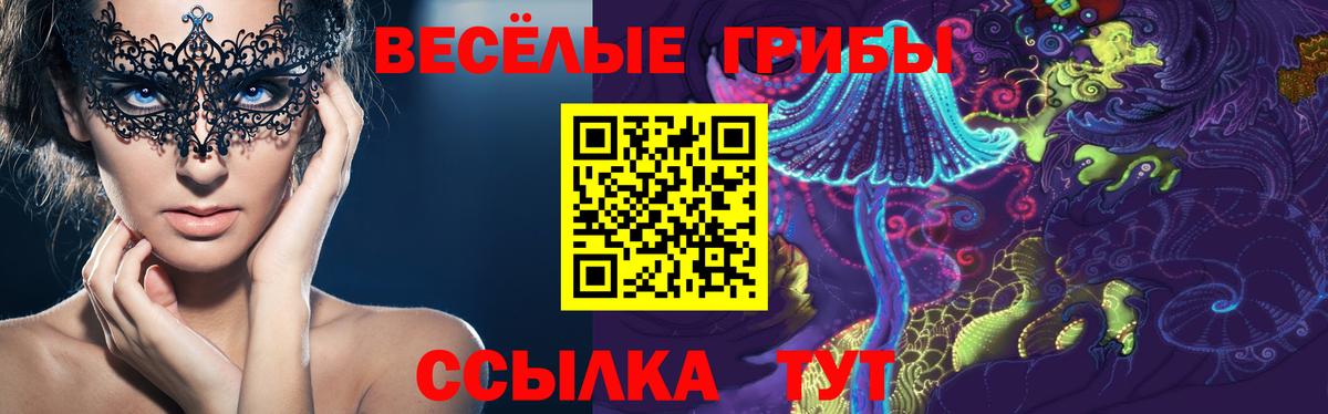 Псилоцибиновые грибы MAGIC MUSHROOMS  купить  цена  Псилоцибиновые грибы Psilocybe  Волгоград  Вход с VPN 